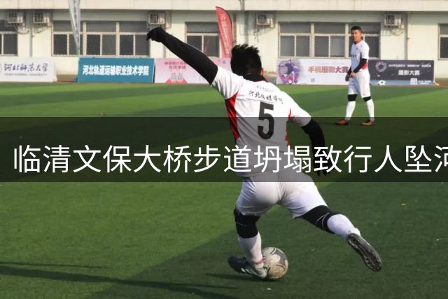 临清文保大桥步道坍塌致行人坠河身亡 省政协委员曾多次呼吁修缮未果