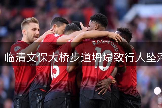 临清文保大桥步道坍塌致行人坠河身亡 省政协委员曾多次呼吁修缮未果